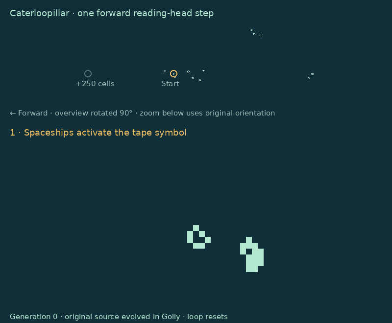 A complete reading operation: a loaf is activated, its signal travels through the head, and a new loaf is restored 250 cells away.
