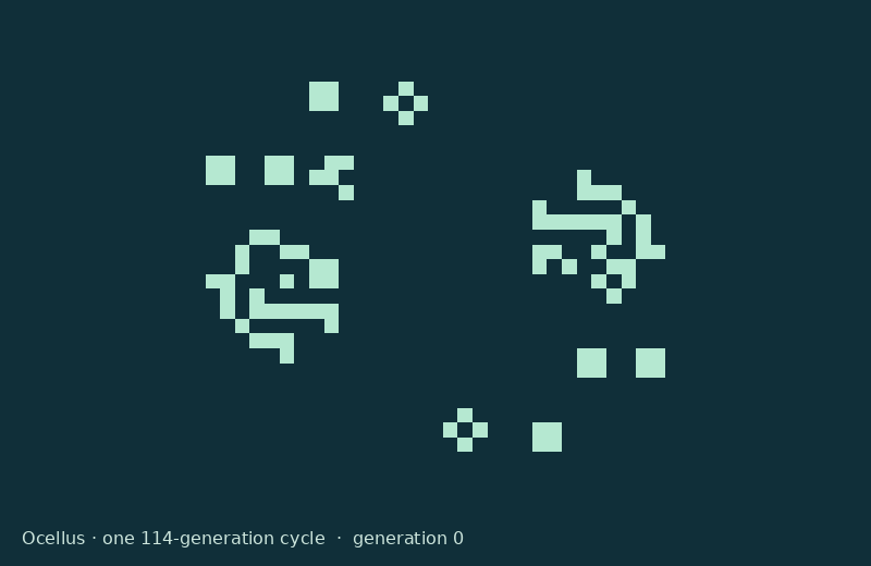 One complete 114-generation cycle of Ocellus.
