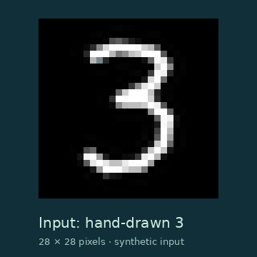 A hand-drawn digit input and the actual model outputs at steps 1, 10, 20, 35, and 50.