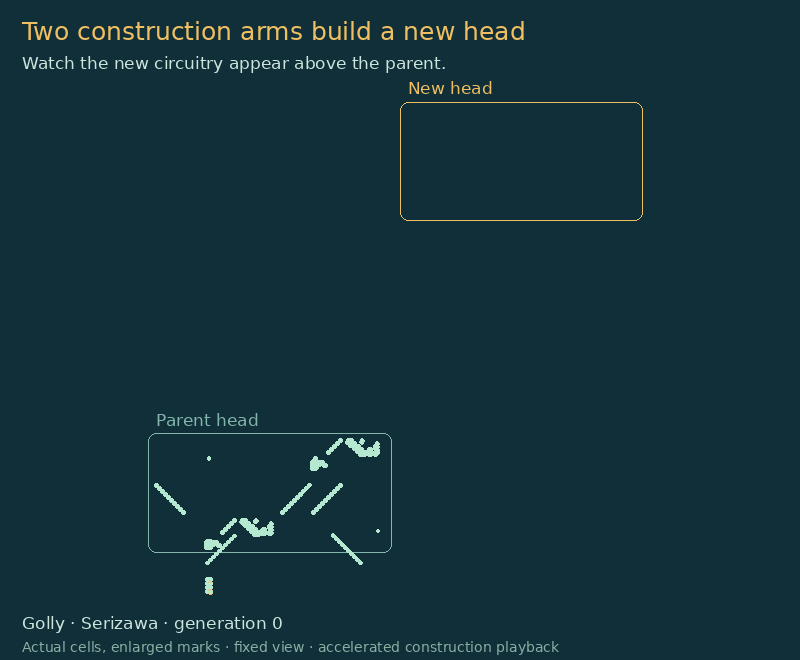 The two arms build the first new Serizawa head.