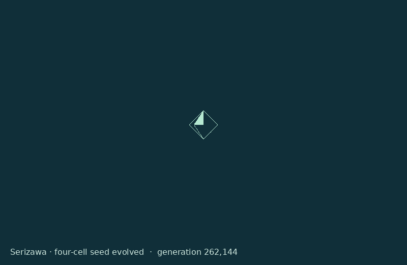 The original four-cell Serizawa seed evolving into a diamond-shaped pattern of growing particle streams.